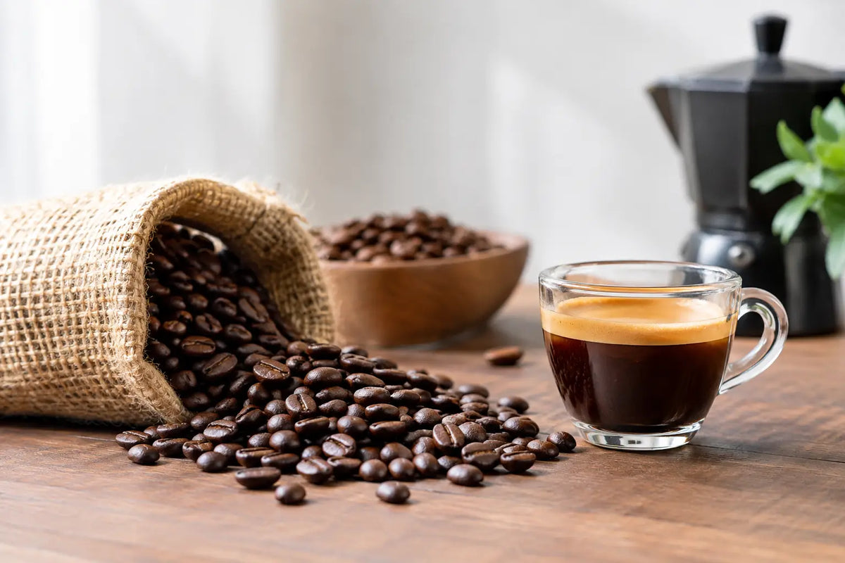 Espresso Bohnen für Vieltrinker richtig wählen